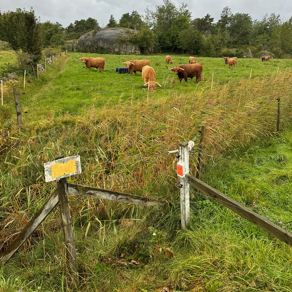 LudaFarm FenceAlarm2 - Bild 7